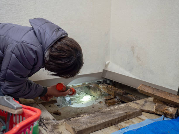 Best Post-Remediation Verification Testing  in Forsyth, IL