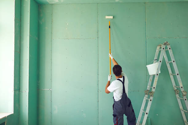 Best Mold Remediation for Healthcare Facilities  in Forsyth, IL