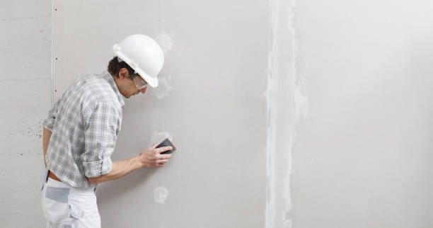 Best Asbestos and Lead Testing During Mold Inspection  in Forsyth, IL