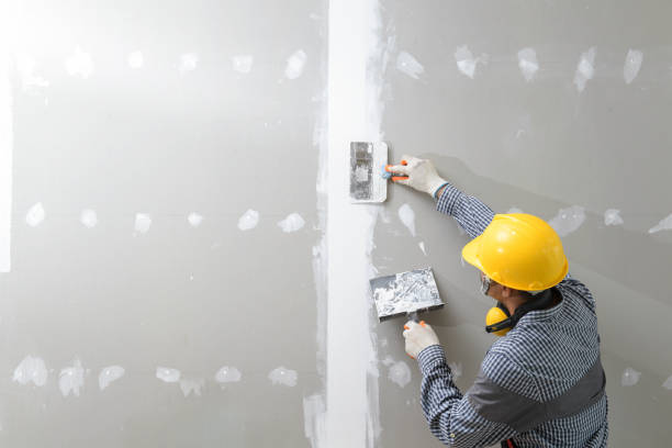 Best Mold Odor Removal Services  in Forsyth, IL