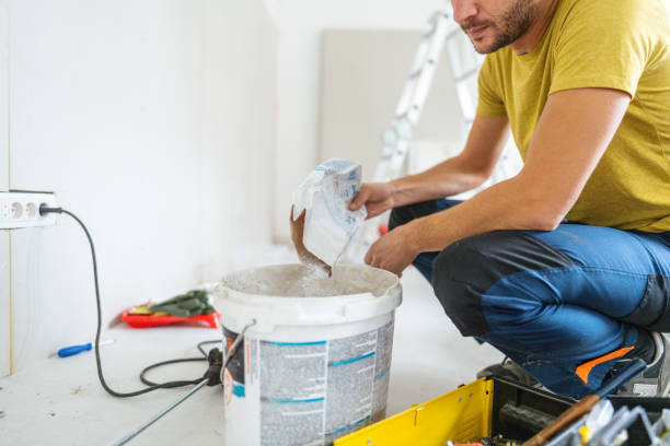 Best Mold Removal for HVAC Installations  in Forsyth, IL