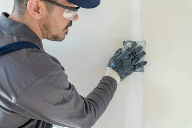 Best Mold Odor Removal Services  in Forsyth, IL