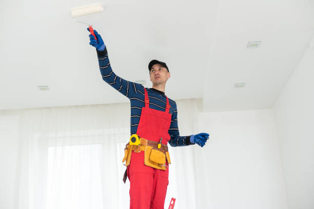 Best HVAC Mold Inspection and Cleaning  in Forsyth, IL