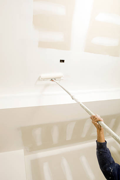 Best Real Estate Mold Inspection  in Forsyth, IL