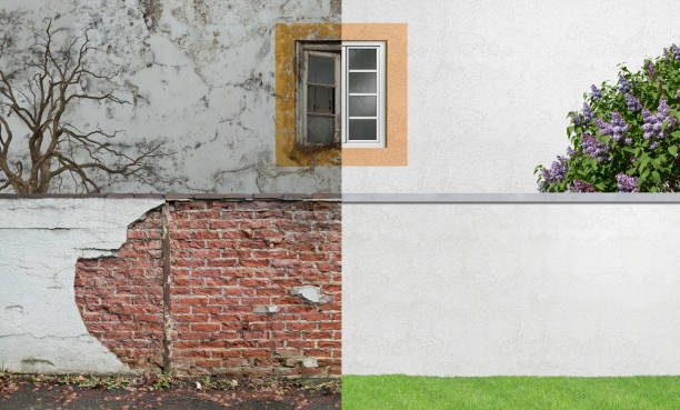 Best Attic Mold Removal  in Forsyth, IL