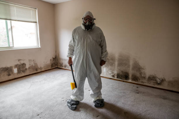 Best Mold Remediation for Healthcare Facilities  in Forsyth, IL