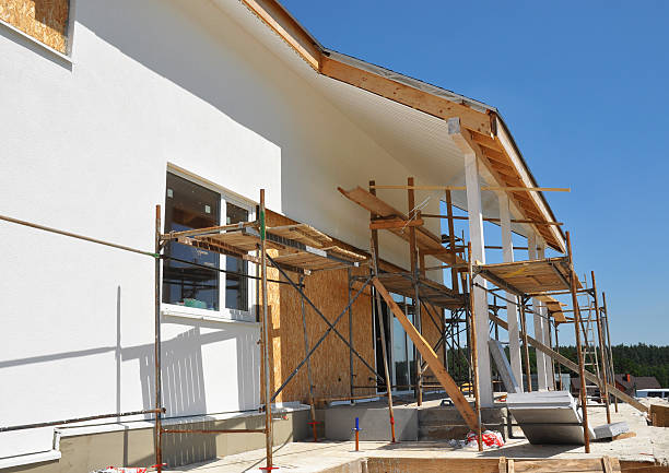 Best Mold Damage Restoration  in Forsyth, IL