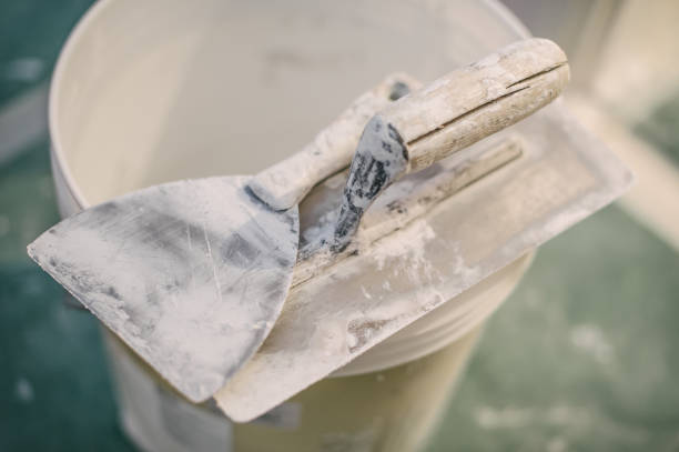 Professional Mold Removal in Forsyth, IL