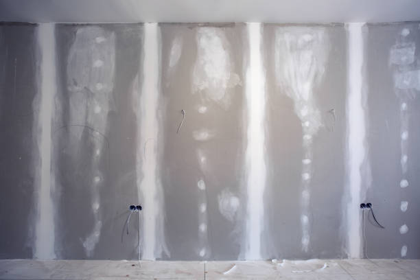 Best Attic Mold Removal  in Forsyth, IL